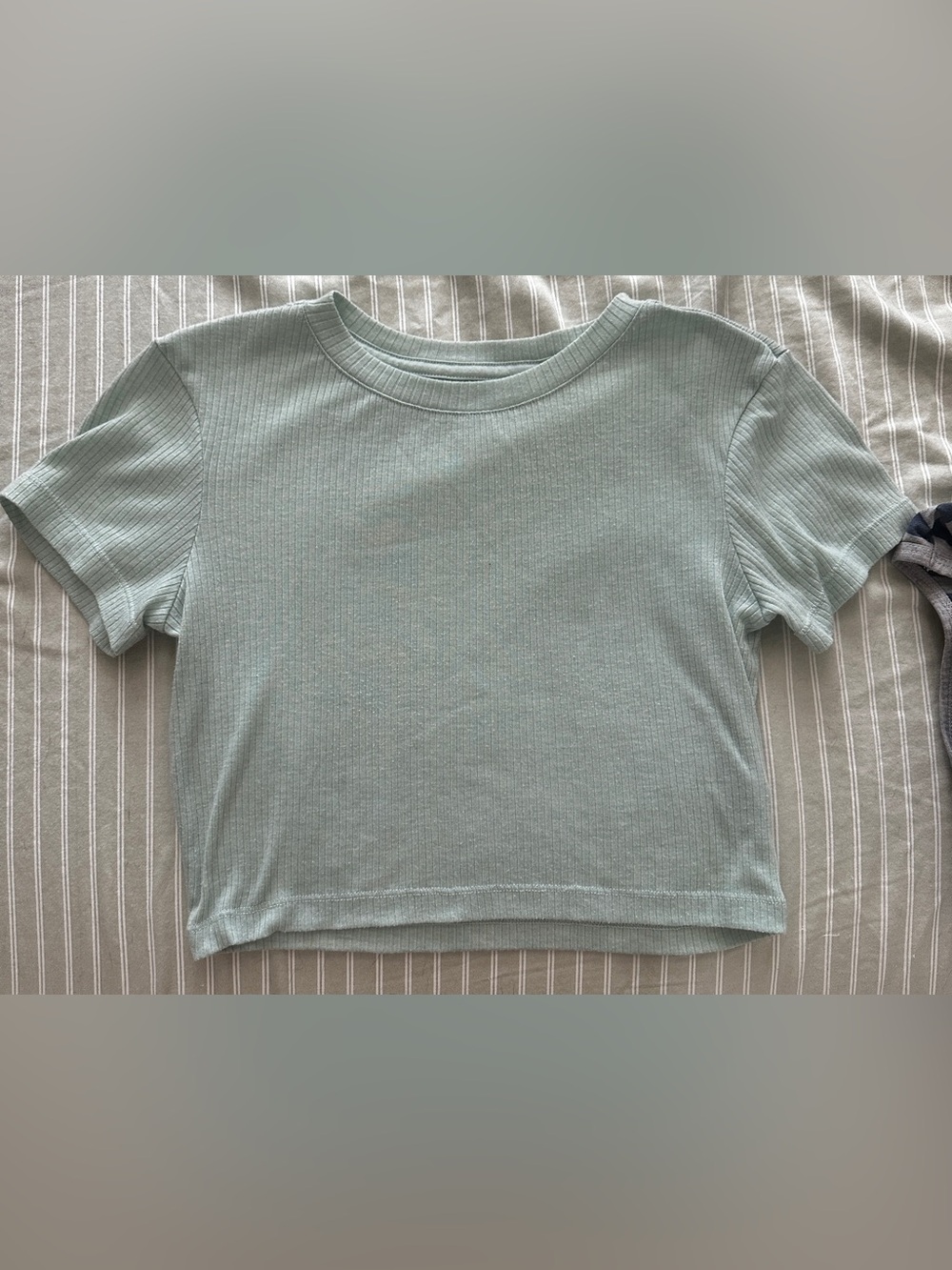 Ribbed Light Mint Crewneck Crop Top